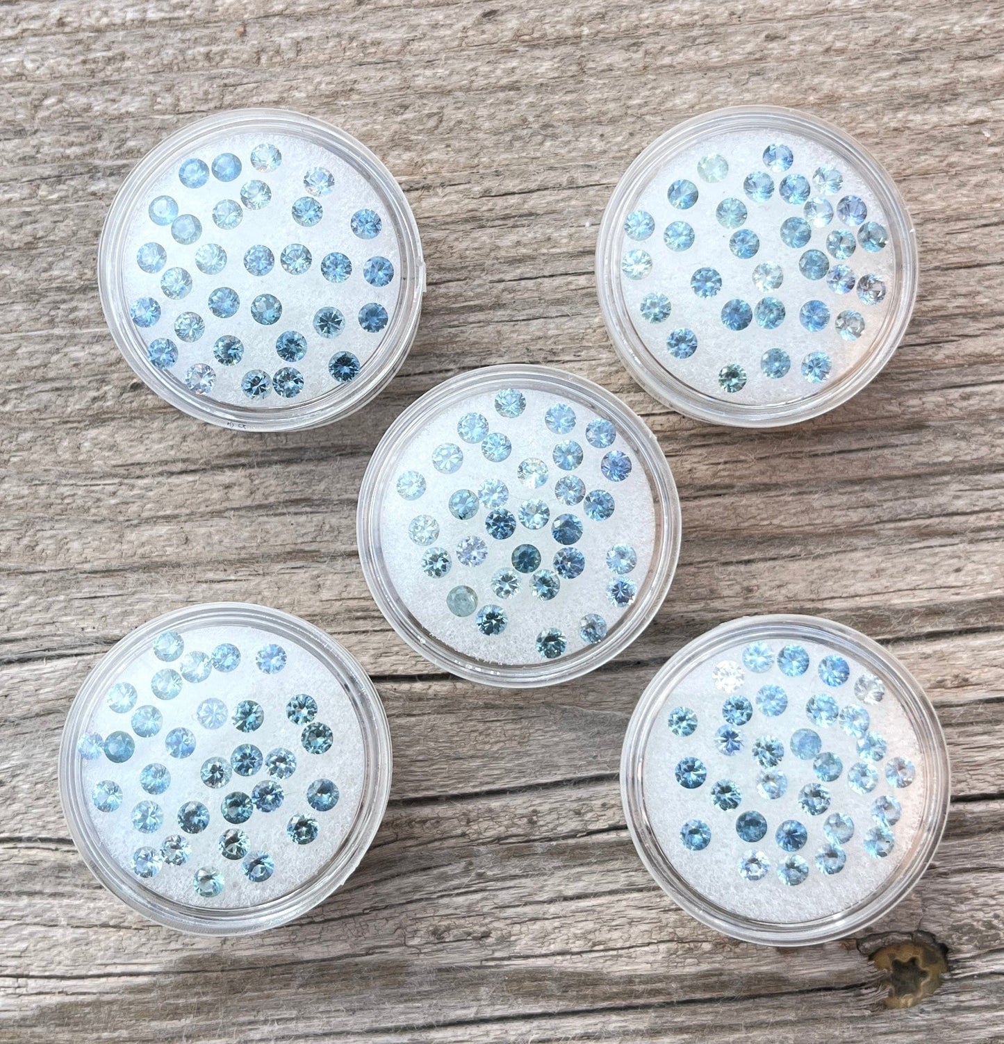 Five round containers filled with blue sapphires